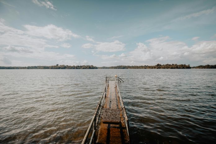 ryan-chia-AMwE25DSdhg-unsplash