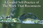 A Guided Self-Practice Of The Work That Reconnects