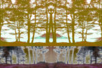 I. A digitally manipulated image of woods and trees on the bank of a body of water in yellows, grey/blacks and maroons.