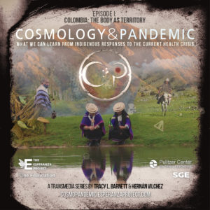 Cosmology and pandemic: What we can learn from the responses of indigenous peoples to the current civilizational crisis