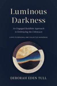 Luminous Darkness: Book Review