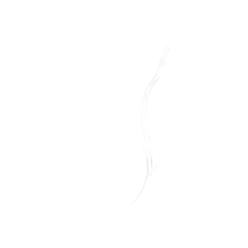 Deep Times Journal | A Work That Reconnects Network Publication